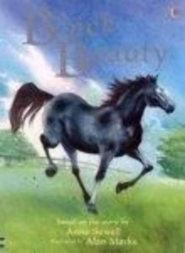 BLACK BEAUTY - Retail Maharaj