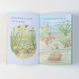 Snails (First Reading Level 2) [Paperback] Susanna Davidson - Retail Maharaj