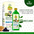Vagbhatt Diabicare Juice 500 ml - Retail Maharaj