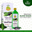 Vagbhatt Karela Jamun Juice 500 ml - Retail Maharaj