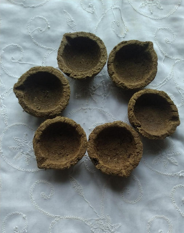 Hand Made Desi Cow Dung Panchagavya Gobar Diye for Diwali and Puja Set of 12 - Retail Maharaj