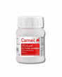 Camel Artist Picture Varnish for Acrylic Colors 100 ml - Retail Maharaj