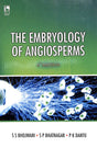 Embryology Of Angiosperms - Retail Maharaj