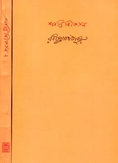 শান্তিনিকেতন- Santiniketan: Set of 2 Volumes (Bengali) - Retail Maharaj