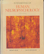 Fundamentals of Human Neuropsychology - Retail Maharaj