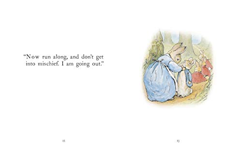 Tale Of Peter Rabbit - Retail Maharaj