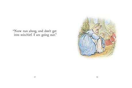 Tale Of Peter Rabbit - Retail Maharaj
