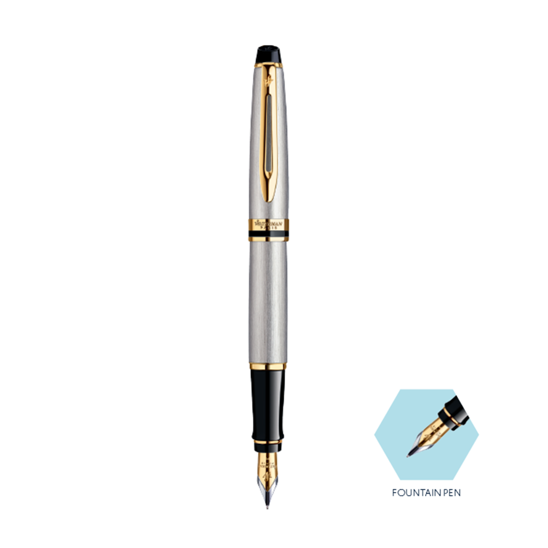 Waterman Expert Stainless Steel Gold Trim Fountain Pen - Retail Maharaj