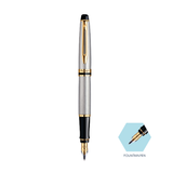 Waterman Expert Stainless Steel Gold Trim Fountain Pen - Retail Maharaj